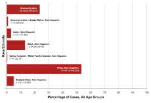 Cases by Race Ethnicity Chart